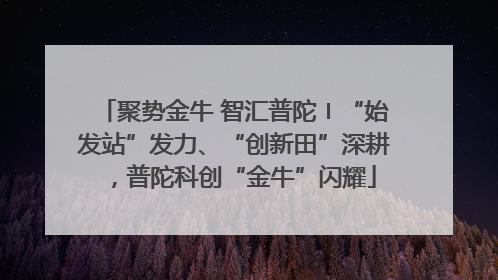 聚势金牛 智汇普陀〡“始发站”发力、“创新田”深耕，普陀科创“金牛”闪耀