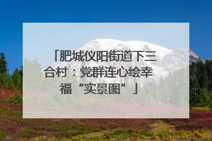 肥城仪阳街道下三合村：党群连心绘幸福“实景图”