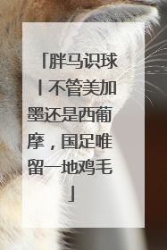 胖马识球丨不管美加墨还是西葡摩，国足唯留一地鸡毛