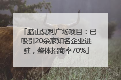 腊山复利广场项目：已吸引20余家知名企业进驻，整体招商率70%