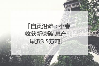 自贡沿滩：小春收获新突破 总产量近3.5万吨