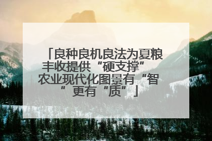 良种良机良法为夏粮丰收提供“硬支撑” 农业现代化图景有“智”更有“质”
