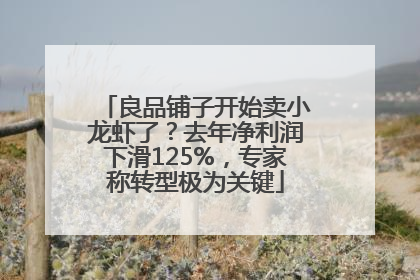 良品铺子开始卖小龙虾了？去年净利润下滑125%，专家称转型极为关键