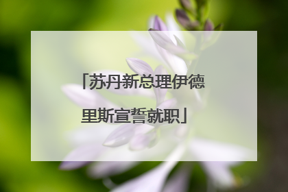 苏丹新总理伊德里斯宣誓就职