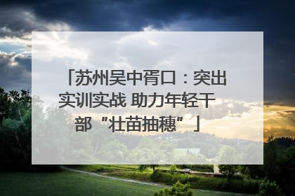 苏州吴中胥口：突出实训实战 助力年轻干部“壮苗抽穗”