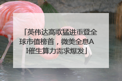 英伟达高歌猛进重登全球市值榜首，微美全息AI催生算力需求爆发