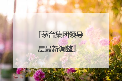 茅台集团领导层最新调整