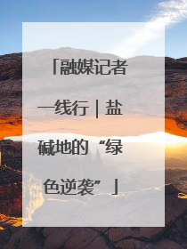 融媒记者一线行｜盐碱地的“绿色逆袭”