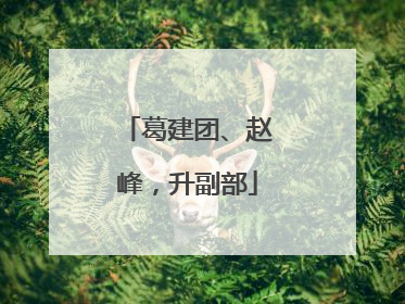 葛建团、赵峰，升副部