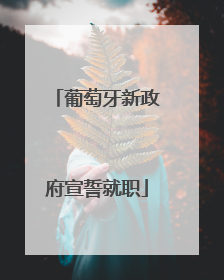 葡萄牙新政府宣誓就职