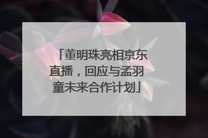 董明珠亮相京东直播，回应与孟羽童未来合作计划