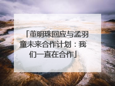 董明珠回应与孟羽童未来合作计划：我们一直在合作