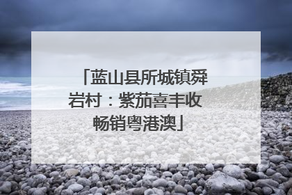 蓝山县所城镇舜岩村：紫茄喜丰收 畅销粤港澳