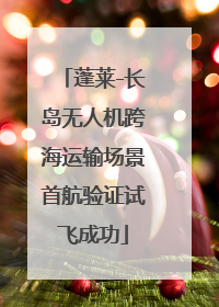 蓬莱-长岛无人机跨海运输场景首航验证试飞成功