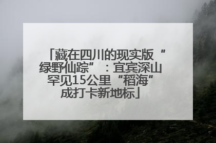 藏在四川的现实版“绿野仙踪”：宜宾深山罕见15公里“稻海”成打卡新地标