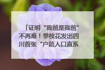 证明“我爸是我爸”不再难！攀枝花发出四川首张“户籍人口直系亲属关系谱”