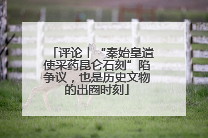 评论丨“秦始皇遣使采药昆仑石刻”陷争议，也是历史文物的出圈时刻