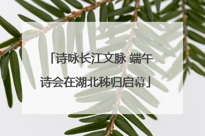 诗咏长江文脉 端午诗会在湖北秭归启幕