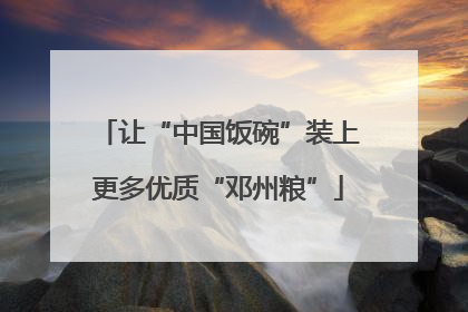 让“中国饭碗”装上更多优质“邓州粮”