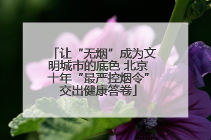 让“无烟”成为文明城市的底色 北京十年“最严控烟令”交出健康答卷