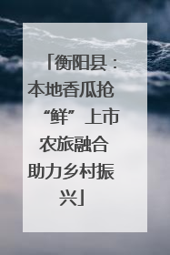 衡阳县：本地香瓜抢“鲜”上市 农旅融合助力乡村振兴
