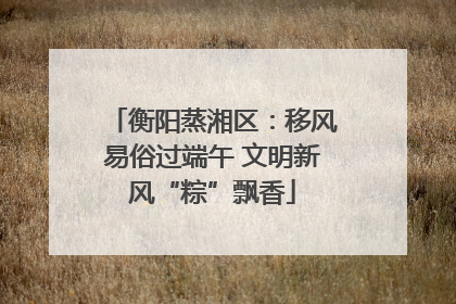 衡阳蒸湘区：移风易俗过端午 文明新风“粽”飘香