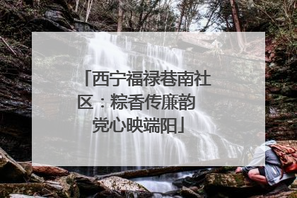 西宁福禄巷南社区：粽香传廉韵 党心映端阳