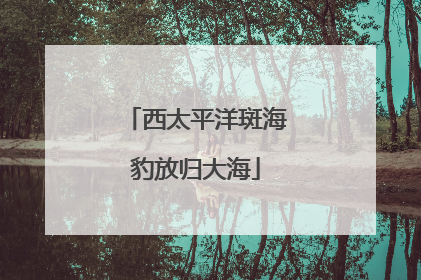 西太平洋斑海豹放归大海