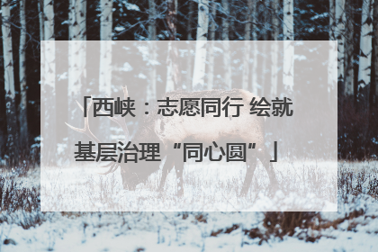 西峡：志愿同行 绘就基层治理“同心圆”
