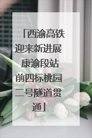 西渝高铁迎来新进展 康渝段站前四标桃园二号隧道贯通