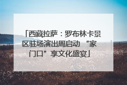 西藏拉萨：罗布林卡景区驻场演出周启动 “家门口”享文化盛宴