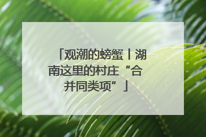 观潮的螃蟹丨湖南这里的村庄“合并同类项”