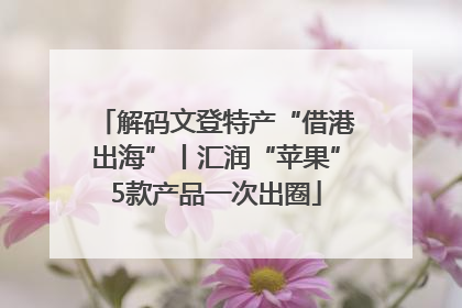 解码文登特产“借港出海”丨汇润“苹果”5款产品一次出圈