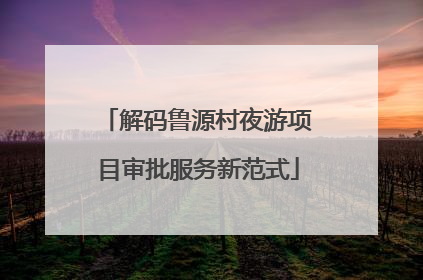 解码鲁源村夜游项目审批服务新范式