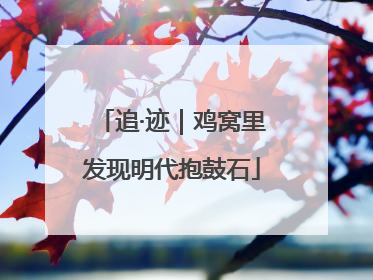追·迹｜鸡窝里发现明代抱鼓石