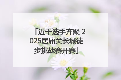 近千选手齐聚 2025居庸关长城徒步挑战赛开赛