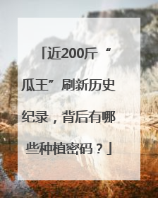 近200斤“瓜王”刷新历史纪录，背后有哪些种植密码？