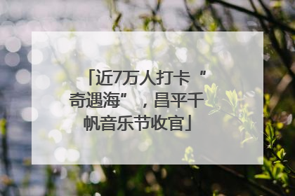 近7万人打卡“奇遇海”，昌平千帆音乐节收官