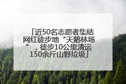 近50名志愿者集结网红徒步地“天鹅林场”，徒步10公里清运150余斤山野垃圾