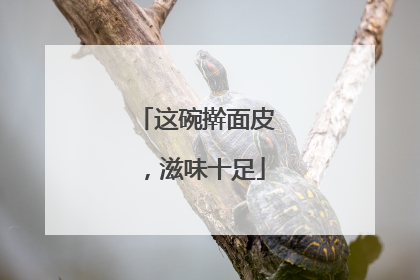这碗擀面皮，滋味十足