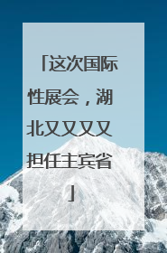 这次国际性展会，湖北又又又又担任主宾省