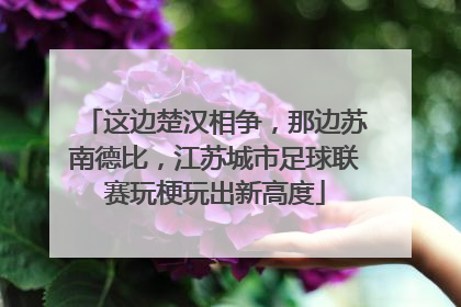 这边楚汉相争，那边苏南德比，江苏城市足球联赛玩梗玩出新高度