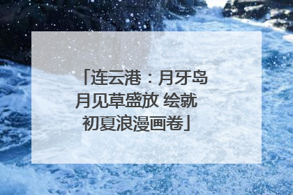 连云港：月牙岛月见草盛放 绘就初夏浪漫画卷