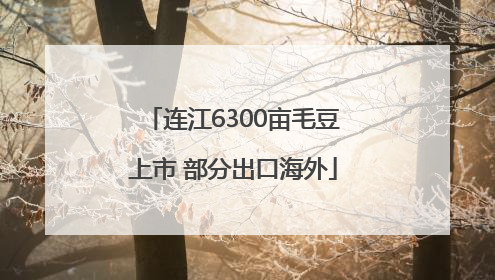 连江6300亩毛豆上市 部分出口海外