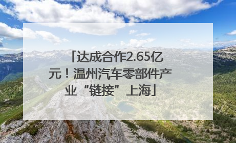 达成合作2.65亿元！温州汽车零部件产业“链接”上海