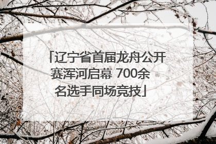 辽宁省首届龙舟公开赛浑河启幕 700余名选手同场竞技
