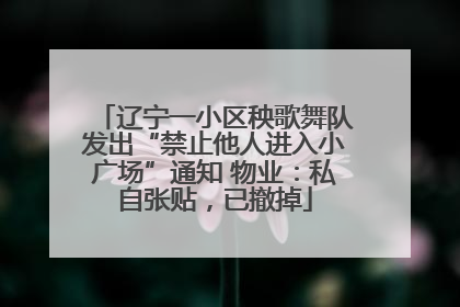 辽宁一小区秧歌舞队发出“禁止他人进入小广场”通知 物业：私自张贴，已撤掉