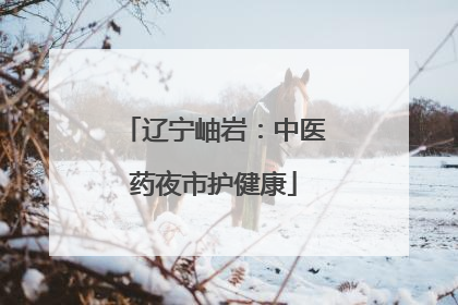 辽宁岫岩：中医药夜市护健康