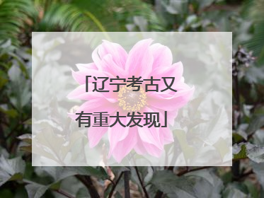 辽宁考古又有重大发现