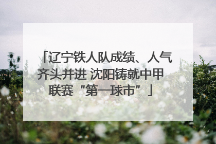 辽宁铁人队成绩、人气齐头并进 沈阳铸就中甲联赛“第一球市”